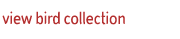 view bird collection